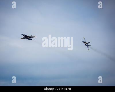 Die Blue Angels traten während der Seafair am 3/2024 in Seattle auf Stockfoto