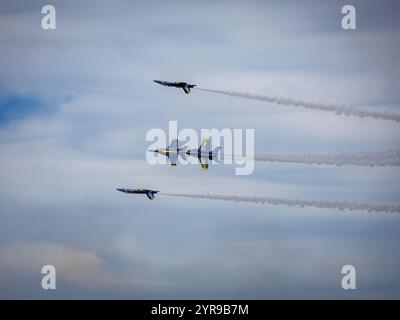 Die Blue Angels traten während der Seafair am 3/2024 in Seattle auf Stockfoto