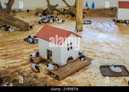 Ein kleines weißes Haus mit einem roten Dach ist von vielen kleinen Tieren umgeben. Die Tiere sind im Haus und auf dem Boden verstreut Stockfoto