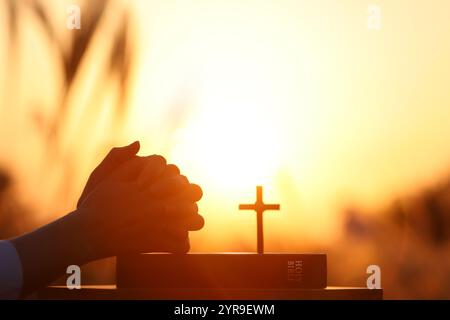 Christian betet mit beiden Händen zusammen auf der heiligen Bibel, Herbstgerstenfeld Sonnenuntergang Landschaft, Danksgiving ostern Hintergrund Stockfoto