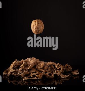 Fliegende Nussbaum auf schwarzem Hintergrund mit Nussschalen im Rahmen. Gestapeltes Bild fokussieren. Stockfoto