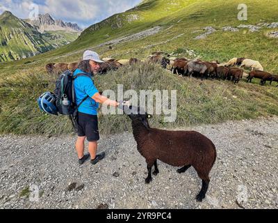 Haldensee, Österreich. September 2024. Mountainbiker trifft auf eine Schafherde auf der Strecke zum Haeselgehrer Berg im Herbst am 2. September 2024 in Elbigenalp, Lechtal, Österreich. Fotograf: ddp Images/STAR-Images Credit: ddp Media GmbH/Alamy Live News Stockfoto