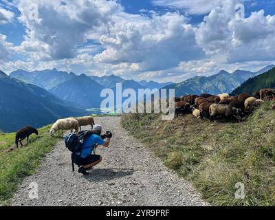 Mountainbiker trifft im Herbst am 2. September 2024 auf eine Schafherde auf der Strecke zum Häselgehrer Berg in Elbigenalp, Lechtal, Österreich. Fotograf: Peter Schatz Stockfoto