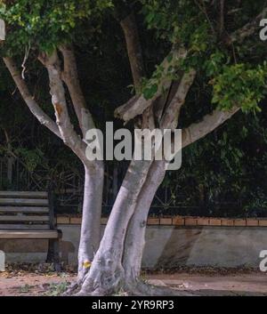 Verschiedene Ansichten der Provinz Kalabrien Italien, Kalabrien, Italien Stockfoto