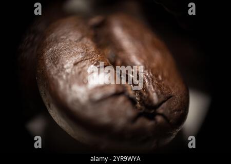 Makro-Kaffeebohne auf weißem Hintergrund – Minimalismus und Details Stockfoto