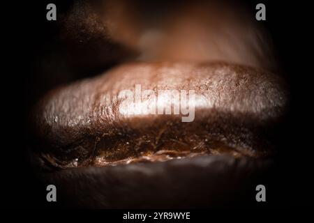 Makro-Kaffeebohne auf weißem Hintergrund – Minimalismus und Details Stockfoto