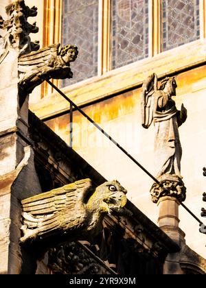 Gargoyles, die Kirche unserer Lieben Frau von der Himmelfahrt und der englischen Märtyrer, Cambridge, Cambridgeshire, England, Großbritannien, GB Stockfoto