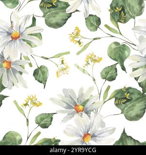 Kamillenweiße Blüten und Lindenzweige nahtloses Aquarellmuster. Feld wilde Blüten und Waldpflanzen Hintergrund, Blumenschmuck für Bio Stockfoto