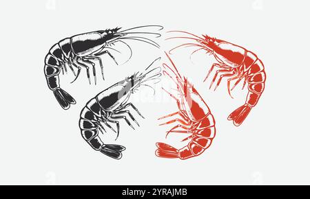 Ein Satz von vier schwarzen und bunten Garnelenvektorabbildungen, leicht bearbeitbar. Stock Vektor
