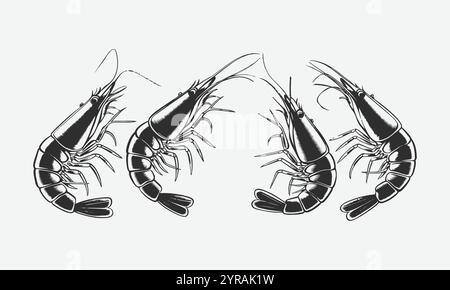 Ein Satz von vier schwarzen und bunten Garnelenvektorabbildungen, leicht bearbeitbar. Stock Vektor