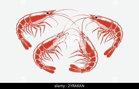 Ein Satz von vier schwarzen und bunten Garnelenvektorabbildungen, leicht bearbeitbar. Stock Vektor