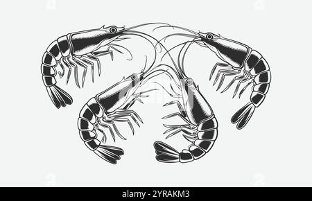Ein Satz von vier schwarzen und bunten Garnelenvektorabbildungen, leicht bearbeitbar. Stock Vektor
