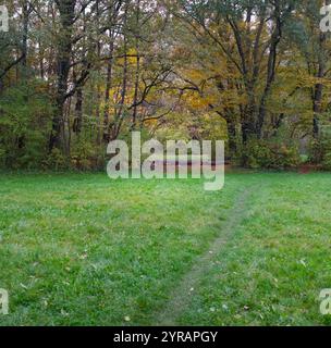 Kleiner Weg auf einer grünen Wiese, der zu einem kleinen herbstlichen Wald mit einem Bogen von Bäumen und einer Rodung führt Stockfoto