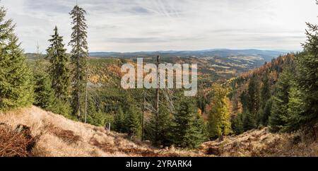 Hochlagen im Bayerischen Wald, Hochlagen im Bayerischen Wald Stockfoto