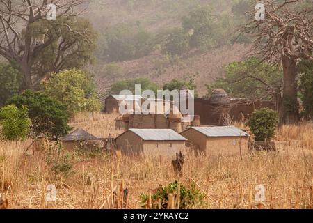 Traditionelles Tondorf in Togo, eingebettet zwischen trockenem Gras und Baobab-Bäumen Stockfoto