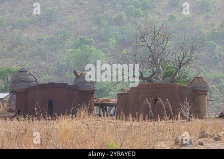 Traditionelles Tondorf in Togo, eingebettet zwischen trockenem Gras und Baobab-Bäumen Stockfoto