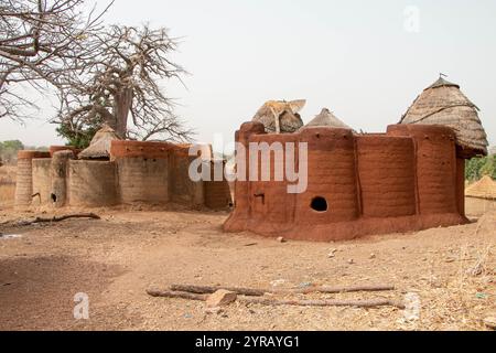 Traditionelles Tondorf in Togo, eingebettet zwischen trockenem Gras und Baobab-Bäumen Stockfoto