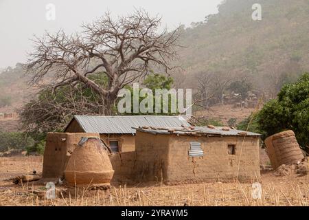 Traditionelles Tondorf in Togo, eingebettet zwischen trockenem Gras und Baobab-Bäumen Stockfoto