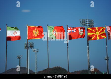 Portugiesische und internationale Fahnen flattern im Stadion Stockfoto