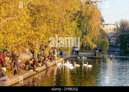 Herbststimmung am Urbanhafen in Berlin-Kreuzberg, Deutschland Stockfoto