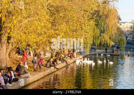 Herbststimmung am Urbanhafen in Berlin-Kreuzberg, Deutschland Stockfoto