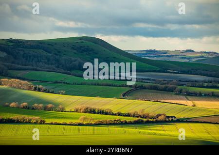 Firle Beacon in den South Downs in der Nähe von Alfriston, East Sussex, England. Stockfoto