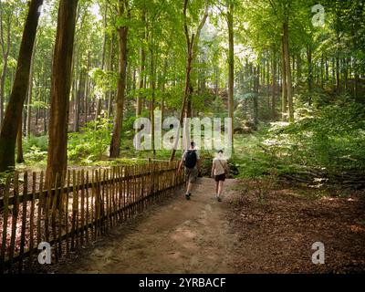 Menschen wandern auf dem Hochuferweg von Königsstuhl nach Sassnitz im Nationalpark Jasmund, Rügen, Mecklenburg-Vorpommern Stockfoto