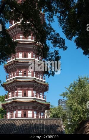 Der Tempel der sechs Banyan-Bäume (Guangzhou/China) Stockfoto