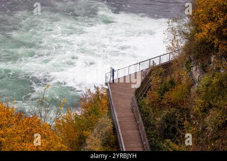 Rheinfall mit Schloss Laufen in Neuhausen am Rheinfall. Kanton Schaffhausen in der Schweiz Stockfoto