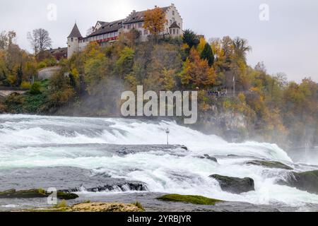 Rheinfall mit Schloss Laufen in Neuhausen am Rheinfall. Kanton Schaffhausen in der Schweiz Stockfoto