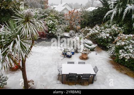 Der Schnee fällt stark auf cordyline australis, die Torbay Palm Tree, in einem Garten in Sidmouth, Devon Stockfoto