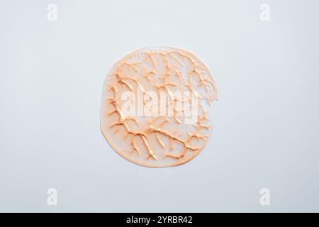 Glitzernder beigefarbener cremefarbener Kreis mit Adern auf weißem Hintergrund. Minimalistisches Make-up und Körperpflege Stockfoto