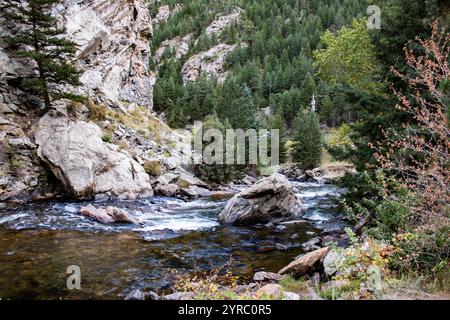 Ein klarer Fluss schlängelt sich durch einen bewaldeten Canyon mit felsigen Klippen und immergrünen Bäumen. Stockfoto
