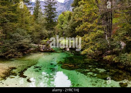 Ein kristallklarer smaragdgrüner Bach fließt durch üppige Wälder, umgeben von den majestätischen Julischen Alpen. Stockfoto