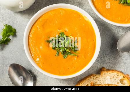 Gesunde hausgemachte cremige Karottensuppe mit Petersilie in einer Schüssel Stockfoto