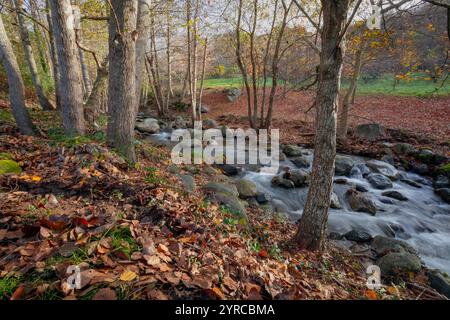 Tramo de la ruta Entrerios con el Río Zarzoso y el bosque de ribera en la localidad de El Arenal, en Avila, Castilla y León, España, en otoño Stockfoto