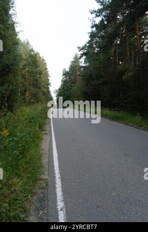 Eine ruhige, leere Straße, die sich durch dichtes Grün schlängelt, flankiert von hohen Bäumen auf beiden Seiten, schafft eine ruhige natürliche Atmosphäre im Wald. Stockfoto