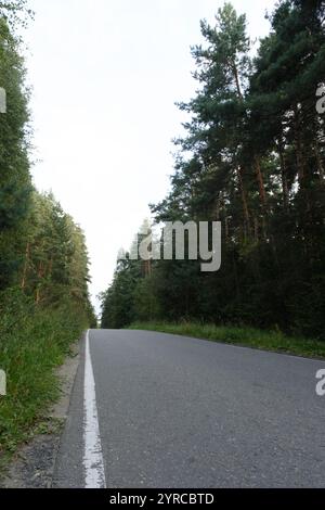 Eine ruhige, leere Straße, die sich durch dichtes Grün schlängelt, flankiert von hohen Bäumen auf beiden Seiten, schafft eine ruhige natürliche Atmosphäre im Wald. Stockfoto