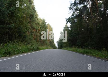 Eine ruhige, leere Straße, die sich durch dichtes Grün schlängelt, flankiert von hohen Bäumen auf beiden Seiten, schafft eine ruhige natürliche Atmosphäre im Wald. Stockfoto