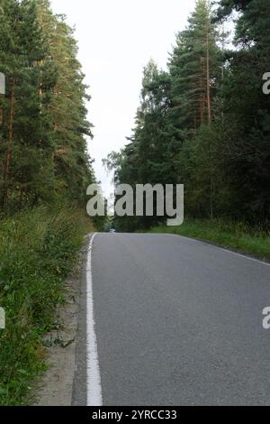 Eine ruhige, leere Straße, die sich durch dichtes Grün schlängelt, flankiert von hohen Bäumen auf beiden Seiten, schafft eine ruhige natürliche Atmosphäre im Wald. Stockfoto