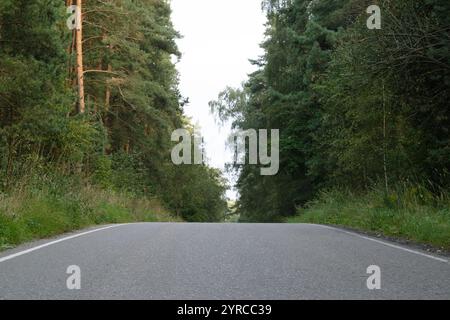 Eine ruhige, leere Straße, die sich durch dichtes Grün schlängelt, flankiert von hohen Bäumen auf beiden Seiten, schafft eine ruhige natürliche Atmosphäre im Wald. Stockfoto