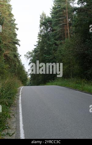 Eine ruhige, leere Straße, die sich durch dichtes Grün schlängelt, flankiert von hohen Bäumen auf beiden Seiten, schafft eine ruhige natürliche Atmosphäre im Wald. Stockfoto