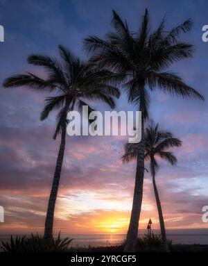 Sonnenuntergang und Palmen über dem Meer. Hawaii, Die Big Island Stockfoto