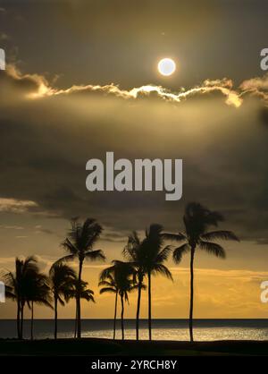 Mondaufgang über dem Ozean und Palmen. Hawaii, Die Big Island Stockfoto