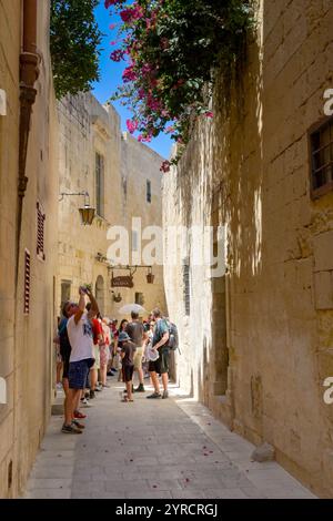 Mdina, Malta - 4. August 2023: Touristen in einer der engen Gassen der Altstadt von Mdina Stockfoto