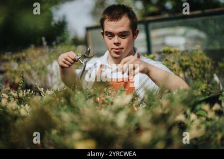 Junger Gärtner mit Down-Syndrom, der zu Pflanzen in einem Gewächshaus neigt Stockfoto