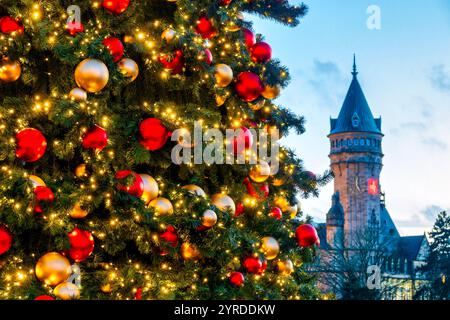 Der Weihnachtsbaum auf dem Wantermaart (Wintermarkt) in Luxemburg-Stadt, Luxemburg, mit dem historischen Spuerkeess-Turm im Hintergrund, Stockfoto