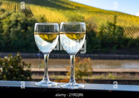 Gläser weißen Trockenriesling, hergestellt im Moseltal in Deutschland oder Luxemburg, Blick auf Terrassen-Weinberge in Nittel Stockfoto