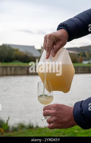 Herbstweinfestival in Schengen an der Mosel, Luxemburg, Verkostung von fiederwaissen Jungwein fermentiertem frisch gepresstem auxerrois-Traubensaft oder Mu Stockfoto