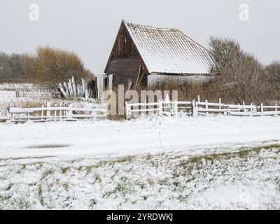 Alte traditionelle Holzscheune und Zäune, in schneebedeckter Landschaft, Ende März, Insel Texel, Holland Stockfoto